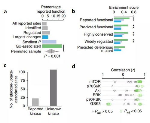 组识怎么组词组化