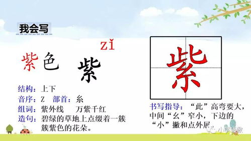 海洋的羊该怎么组词