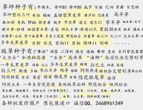 北和羊组词怎么组词