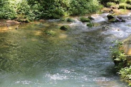 河流的小溪怎么组词