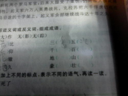 可能可以怎么组词