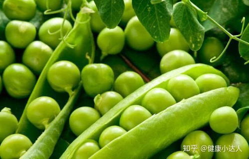 豌豆豆怎么组词