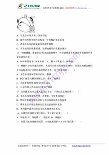 捷胜的胜怎么组词 捷胜的胜怎么组词