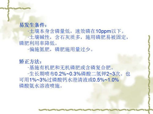 施肥的肥怎么组词