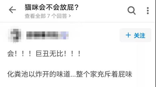 好奇的臭怎么组词