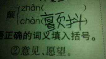 抖拼音怎么组词