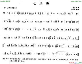 琴字怎么组词钢琴的琴