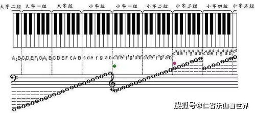 琴字怎么组词钢琴的琴