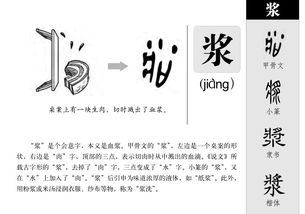 双浆怎么组词 双浆怎么组词