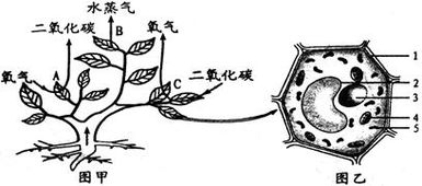 动动作的动怎么组词