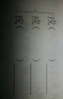 苏轼怎么加拼音和组词