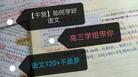 疏理的疏怎么组词