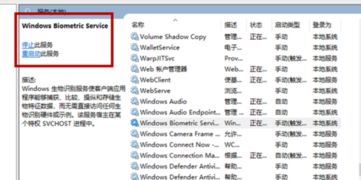 赖怎么样组词 赖怎么样组词