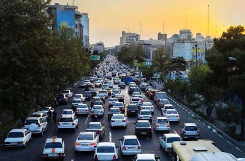 堵车的停怎么组词