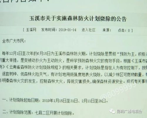 上午的伤怎么组词呀