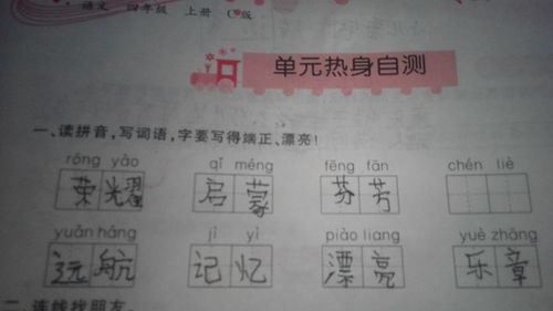 芙蓉的芙怎么写怎么组词