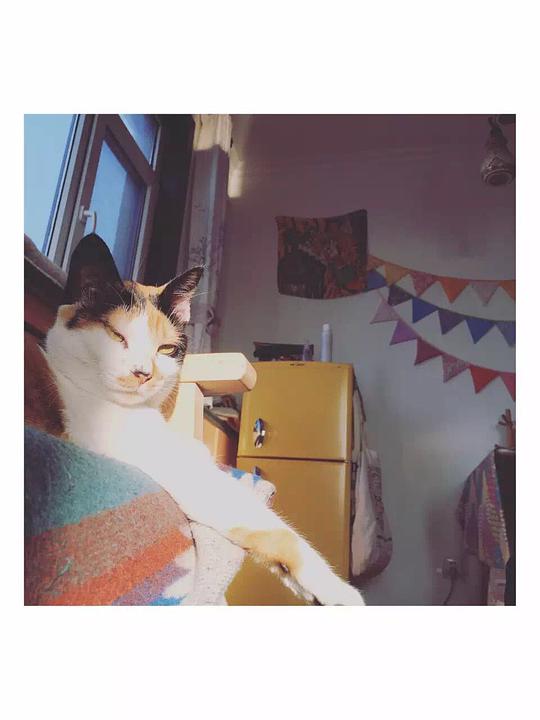 凶恶的凶可以怎么组词呢