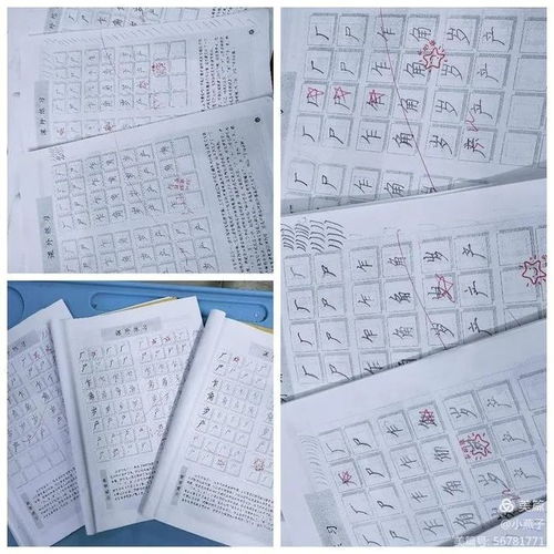 用格格不入组词怎么写