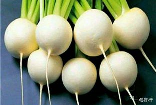 白萝卜可以怎么组词 白萝卜可以怎么组词