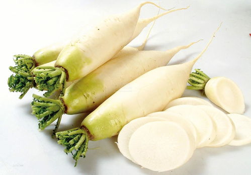 白萝卜可以怎么组词 白萝卜可以怎么组词