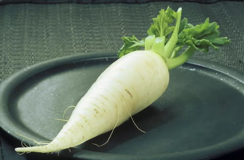 白萝卜可以怎么组词 白萝卜可以怎么组词