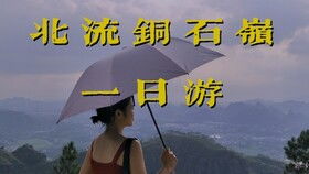 荡秋千石怎么组词