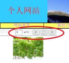 添还能怎么组词啊