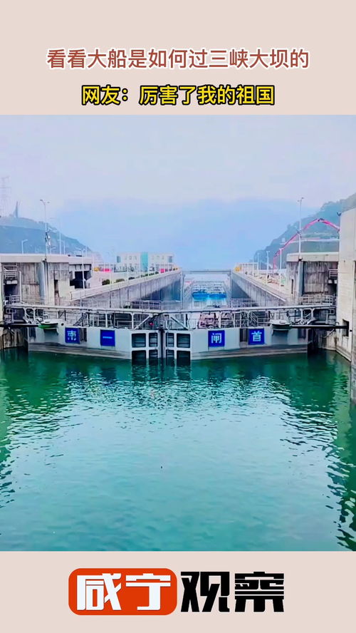 大坝的坝怎么组词