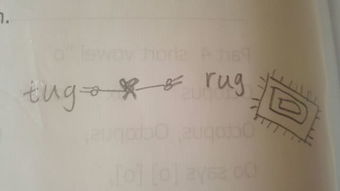 毯子的蝉怎么组词