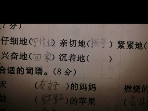 谅组词可以怎么组语