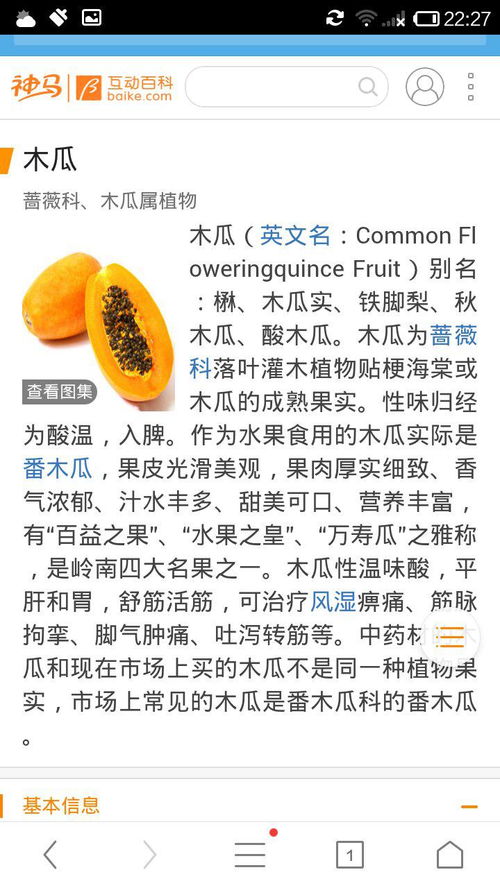 木瓜那么怎么组词