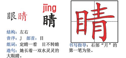 单字怎么组词怎么造句