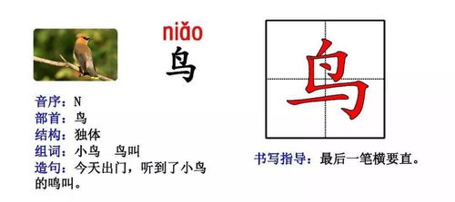 单字怎么组词怎么造句