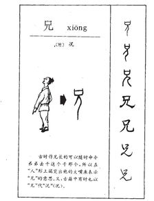 兄的怎么组词 兄的怎么组词