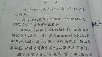 抽丝仿织的仿怎么组词