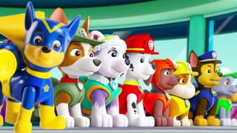 汪汪队立可以怎么组词 汪汪队立可以怎么组词