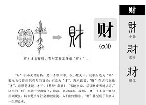 发财的财怎么组词儿