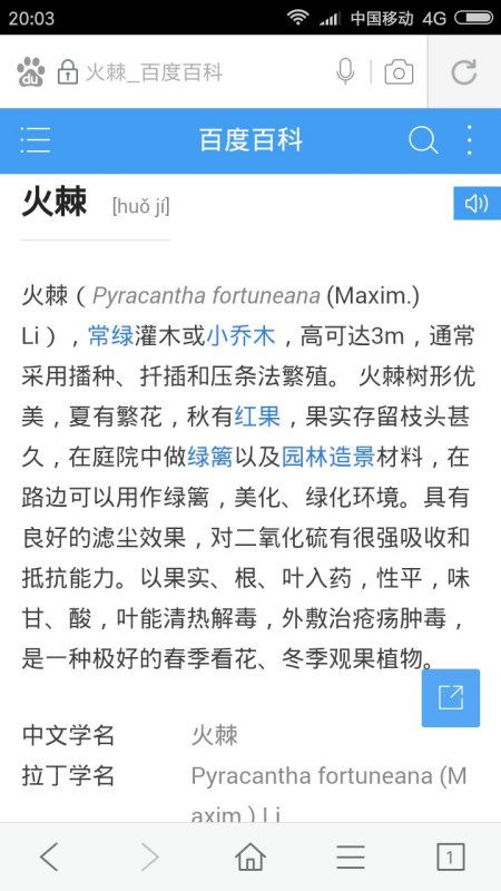 路边的路字怎么组词呀