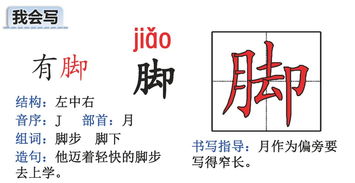 齐被发的被怎么组词