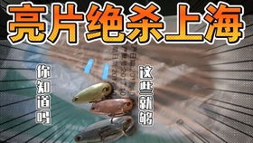 蚓能怎么组词 蚓能怎么组词