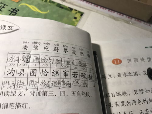 屁怎么组词语