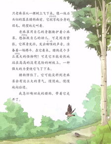 嗅觉的绣可以怎么组词
