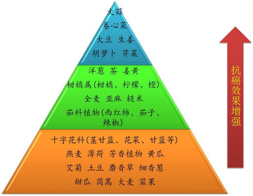 金字塔是怎么组词