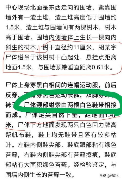 苔藓的鞋怎么组词