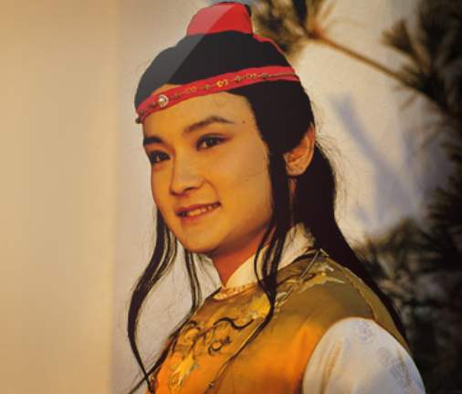 形容贾宝玉的贾怎么组词