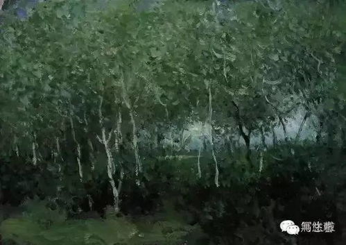 白桦树的画画怎么组词