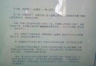 锦上添花的尽怎么组词