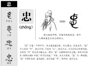 的忠怎么组词