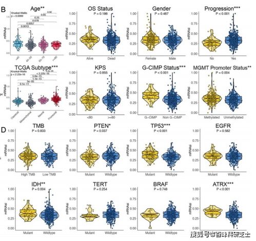 小小爱答案怎么组词