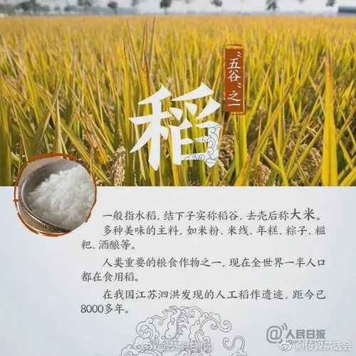 黍稷麦菽怎么组词